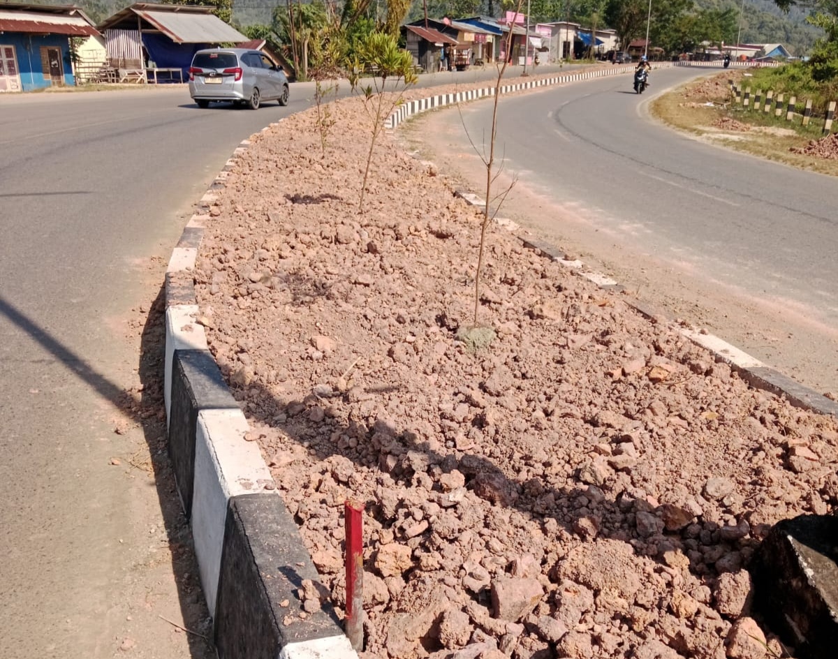 Median Jalan Lamondowo Dipenuhi Batu, Warga Soroti Kelayakan untuk Penghijauan